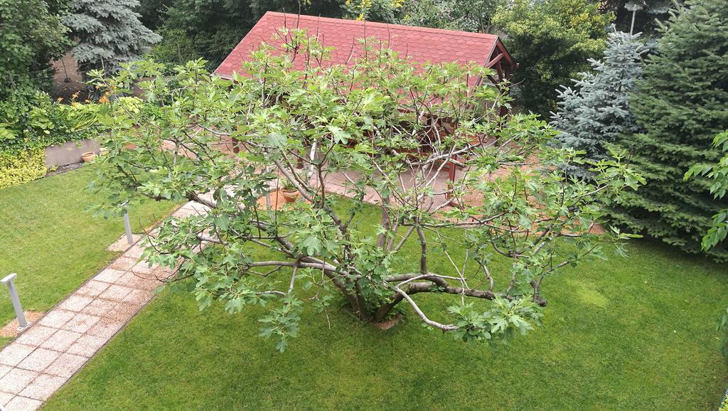 Fig Tree House Budapest Exterior foto